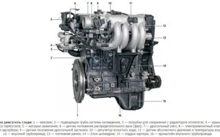 Двигатель g4ed: характеристики 1,6, проблемы, ресурс, масло, ГРМ